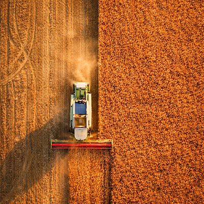 Сельское хозяйство