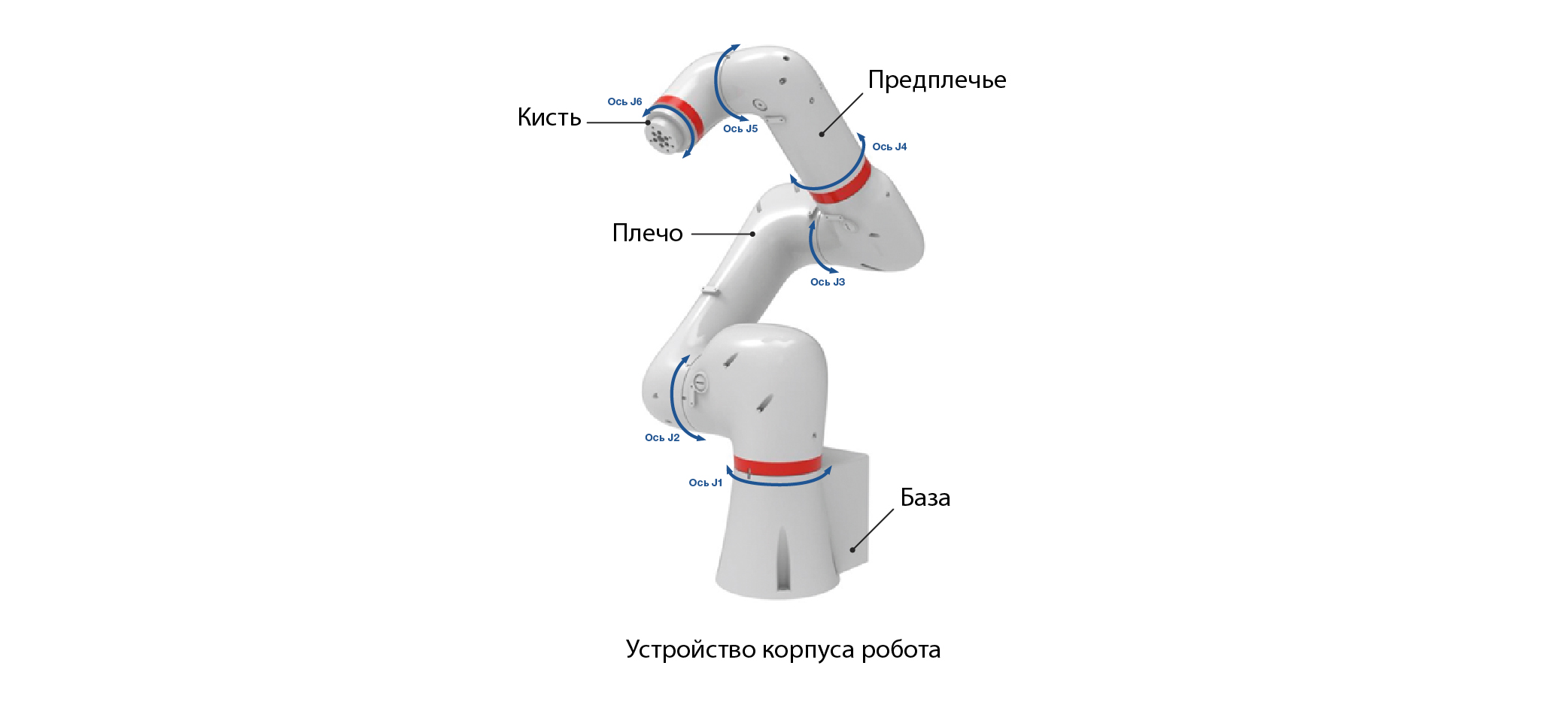 УСТРОЙСТВО КОРПУСА РОБОТА