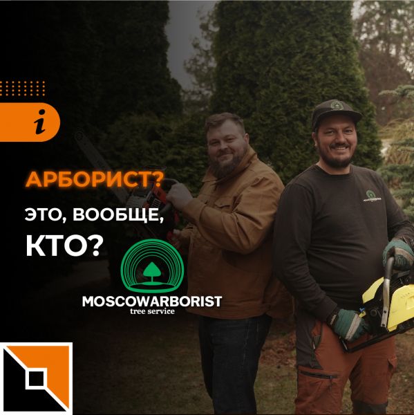 Кто такие арбористы?