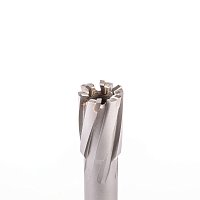Фреза кольцевая (сверло корончатое) Foxweld FXT 19x55