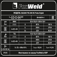 Аппарат аргонодуговой сварки SAGGIO TIG 300 DC Pulse Digital